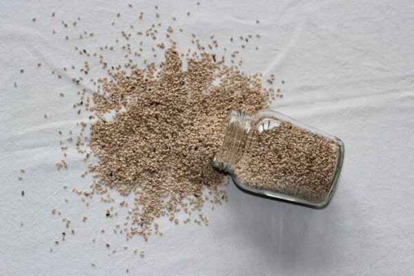 seeds, flax seed, healthy-3962999.jpg