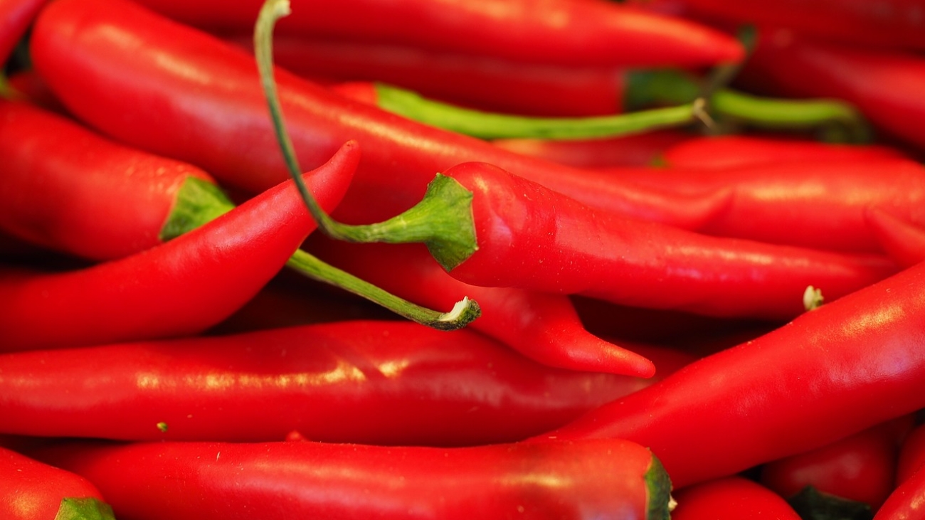 chili, red, sharp-499062.jpg