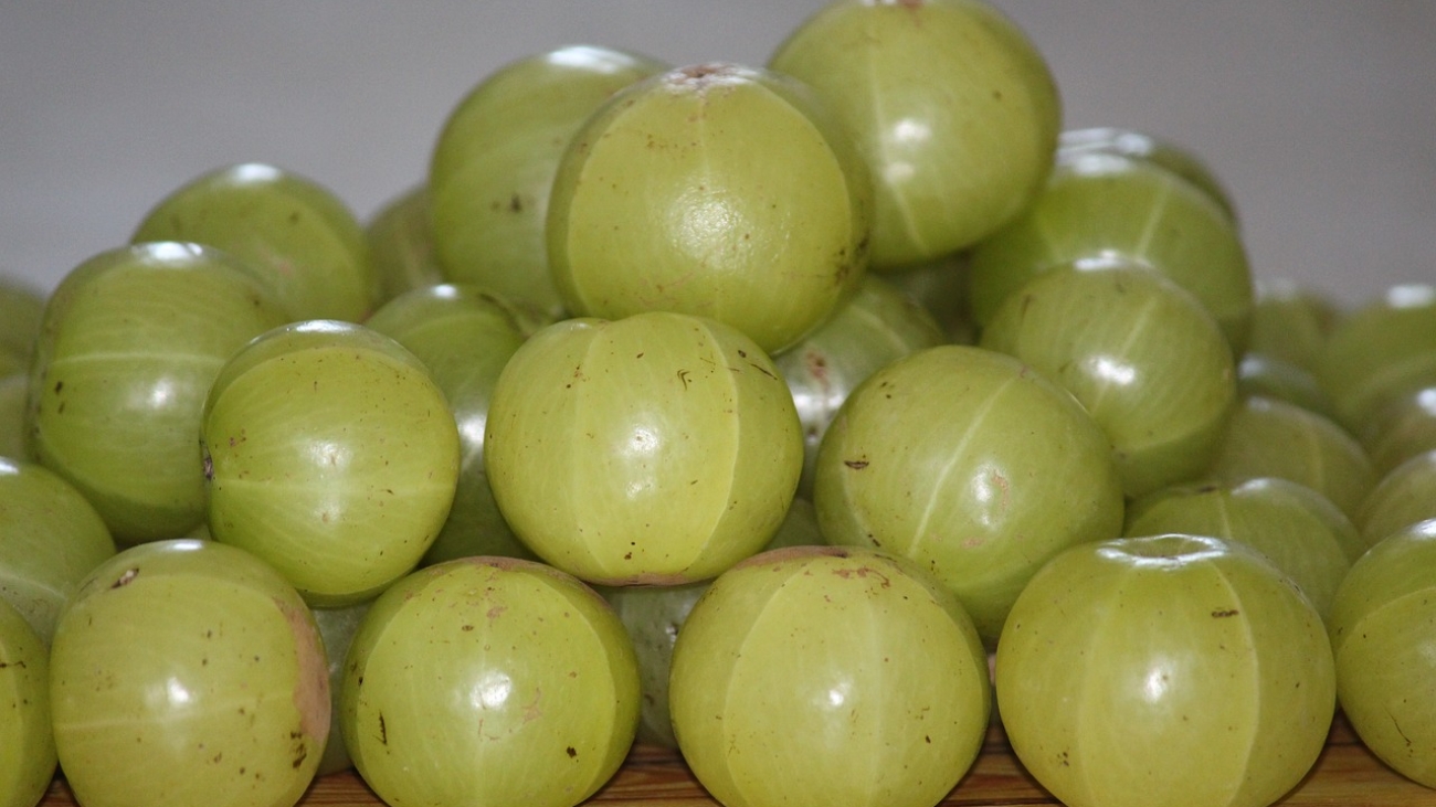 amla, indian gooseberry, fruit-5787456.jpg