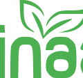 cropped-Nainaas-Logo-1024x350-2-Traced.png