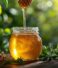 Why Forest Honey Is Nature’s Superfood
